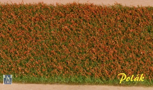 5971 Polak short flowers meadow - red
