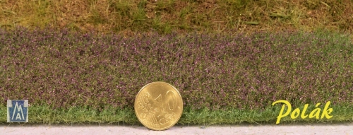 5973 Polak short flowers meadow - violett