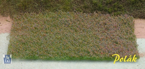 5982 Polak short flowers meadow - red blue