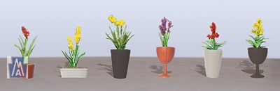 95568 O Assorted Potted Flower Plants 2, Sortiment blühender Topfpflanzen 2