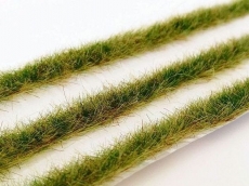 058-43S Long grass strips - Late Summer
