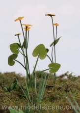 VG3-003 Marsh Marigold 1:32 / 1:35, Bausatz