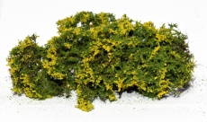 701-925 blühende Büsche, Flowering Shrubs, gelb