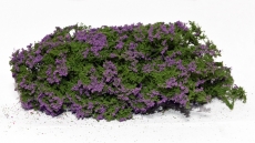 701-945 blühende Sträucher, Flowering Bushes, lilac