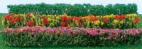 95510 HO Flower Hedges