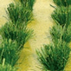 95580 HO Detachable Grass Bushes