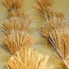 95579 HO Detachable Wheat Bushes