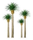 94354 HO Phoenix Palm Tree (3)