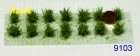 9103 Polak small Bushes - finest foliage - birch green