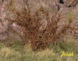 9254 Polak High bushes finest foliage, brown