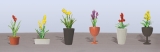 95567 HO Potted Flower Plants 2