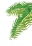VG7-034 Palm Leaves 1:72, Kit