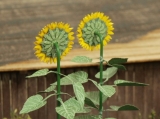 VG4-024 Sunflowers 1:45/1:48, Sonnenblume, Bausatz