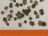 L3-001, Leaves, Ahorn, Maple - green, 1:35