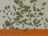L4-105 Universal green leaves, Blätter, 1:48