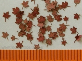 L4-201 Maple, Ahorn - dry leaves, Blätter (red colour) 1:48