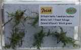 9303 medium high Bushes, Birch green