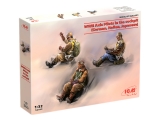 32111 / 3319111 WWII Axis Pilots in the cockpit, Kit, 1:32