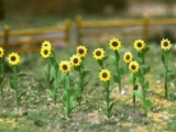 95524 Sunflowers. Sonnenblumen, O-scale